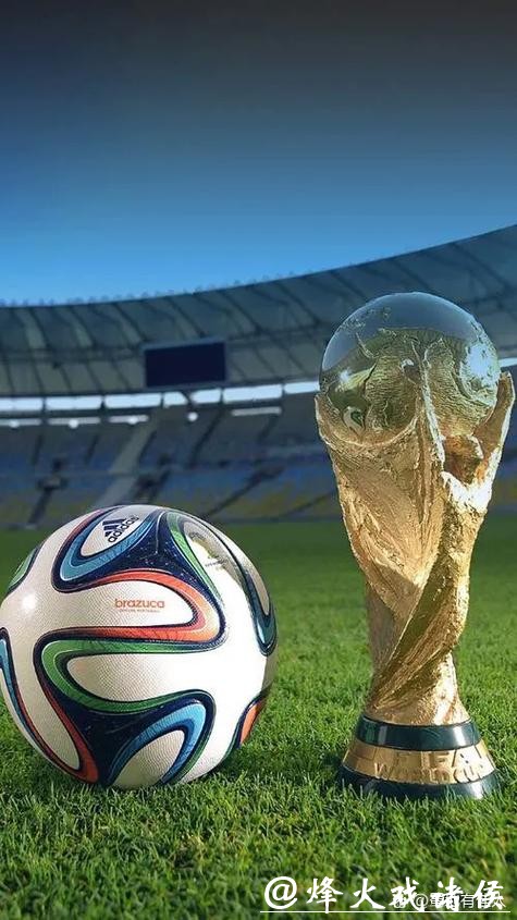 世界杯外围赛精彩进球集锦欣赏